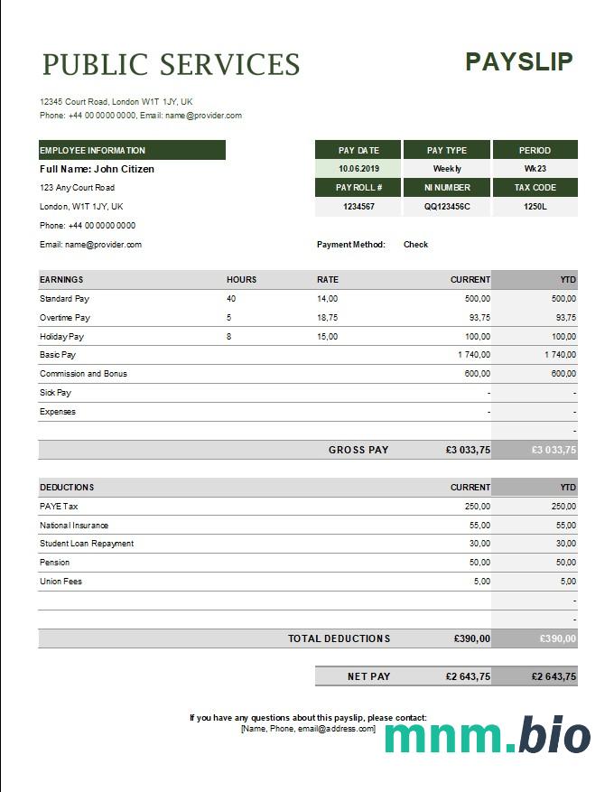 szablon odcinka wypłaty korporacji usług publicznych w formatach Excel i PDF